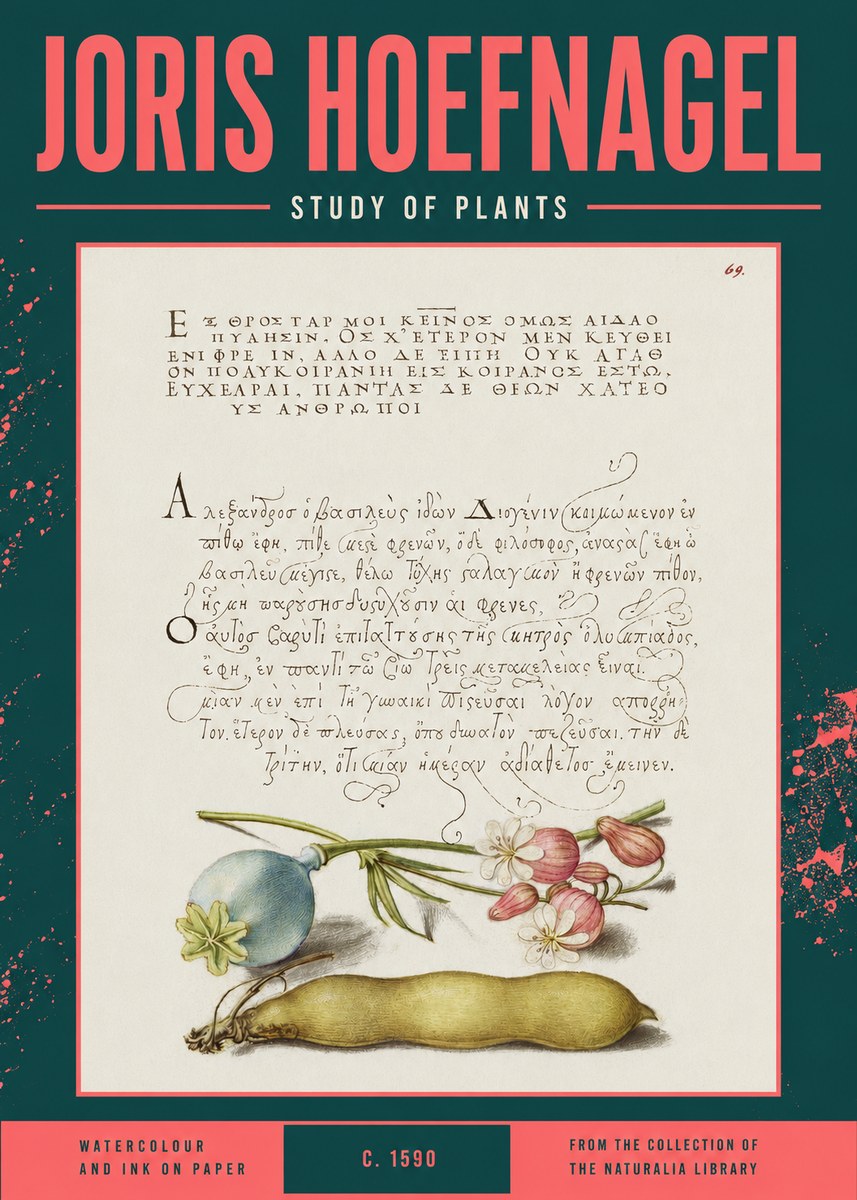 Joris Hoefnagel Study of Plants I No2 - Affiche