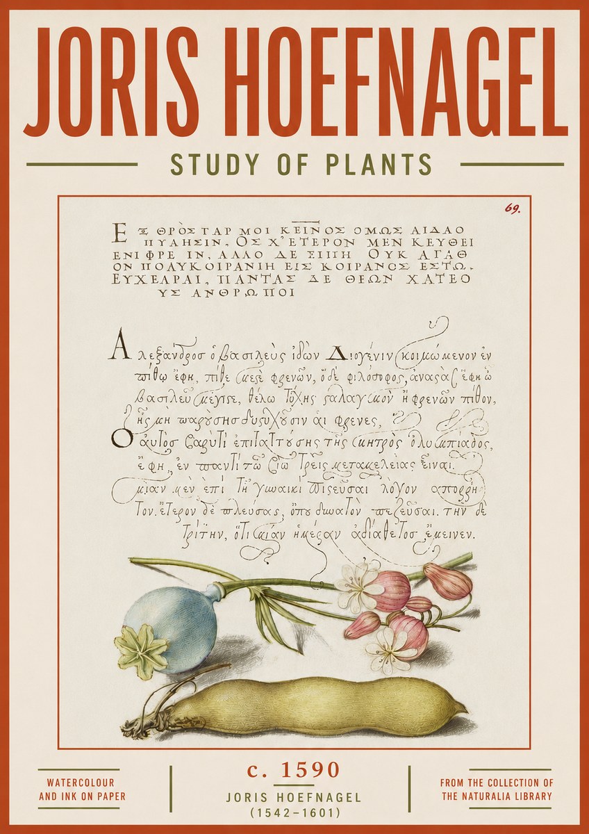 Joris Hoefnagel Study of Plants I No5 - Affiche