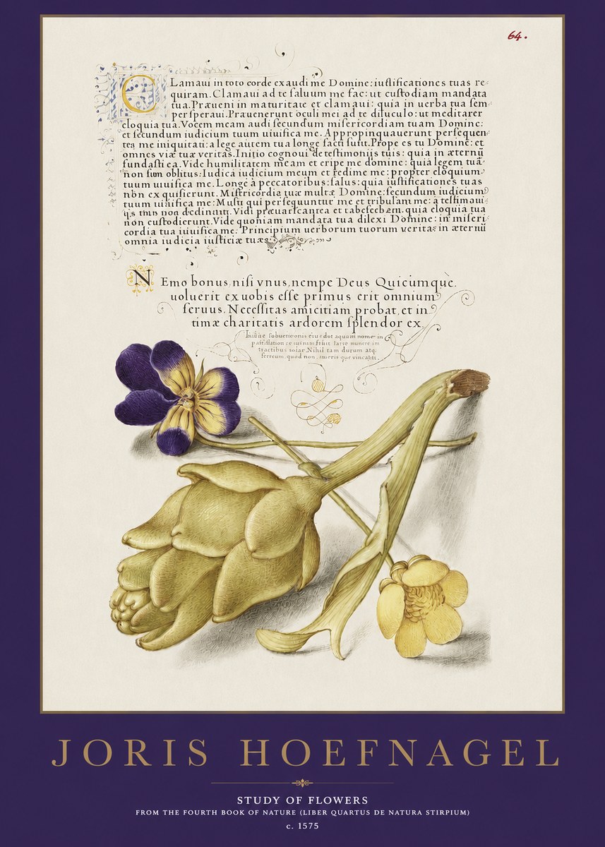 Joris Hoefnagel Botanical Study with Calligraphy III No3 - Affiche