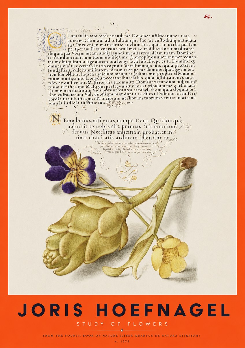 Joris Hoefnagel Botanical Study with Calligraphy III No4 - Affiche