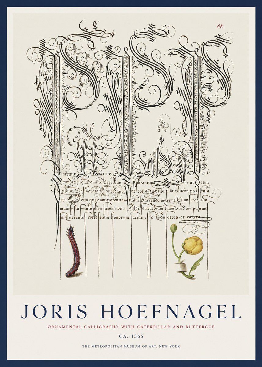Joris Hoefnagel Ornamental Calligraphy with Caterpillar and Buttercup No1 - Affiche