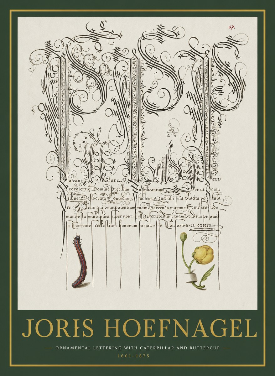 Joris Hoefnagel Ornamental Calligraphy with Caterpillar and Buttercup No2 - Affiche