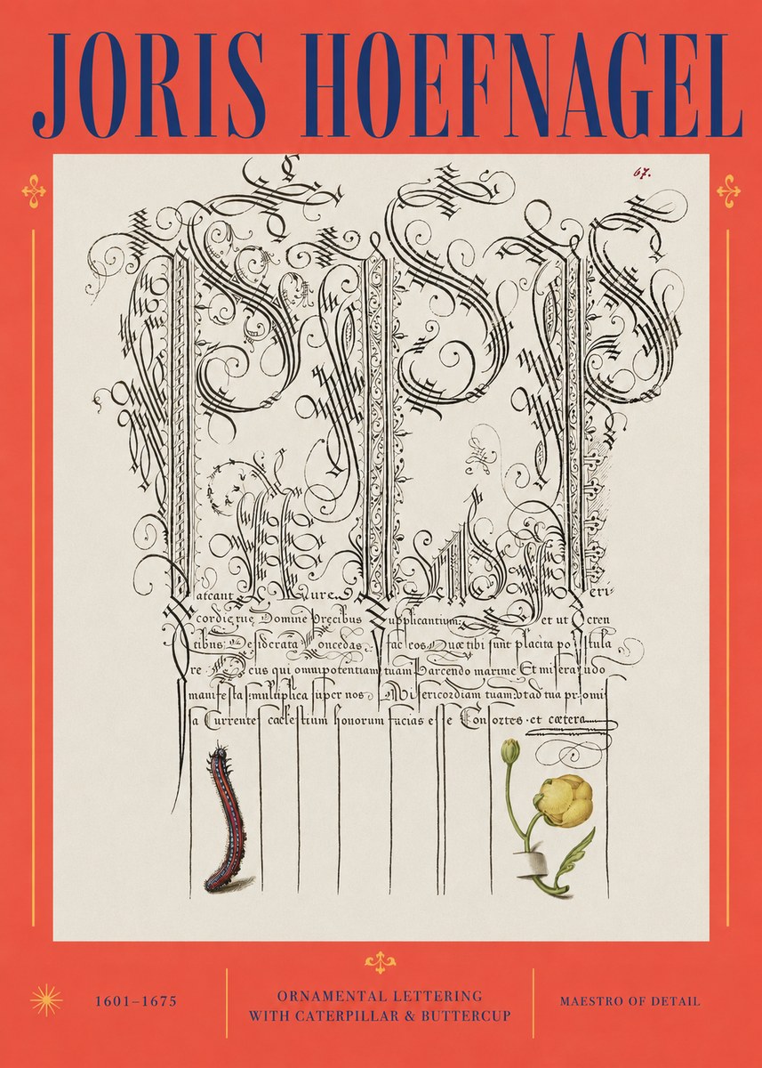 Joris Hoefnagel Ornamental Calligraphy with Caterpillar and Buttercup No3 - Affiche