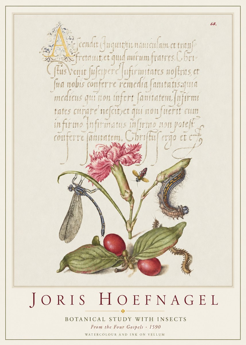 Joris Hoefnagel Botanical Study with Insects No1 - Affiche