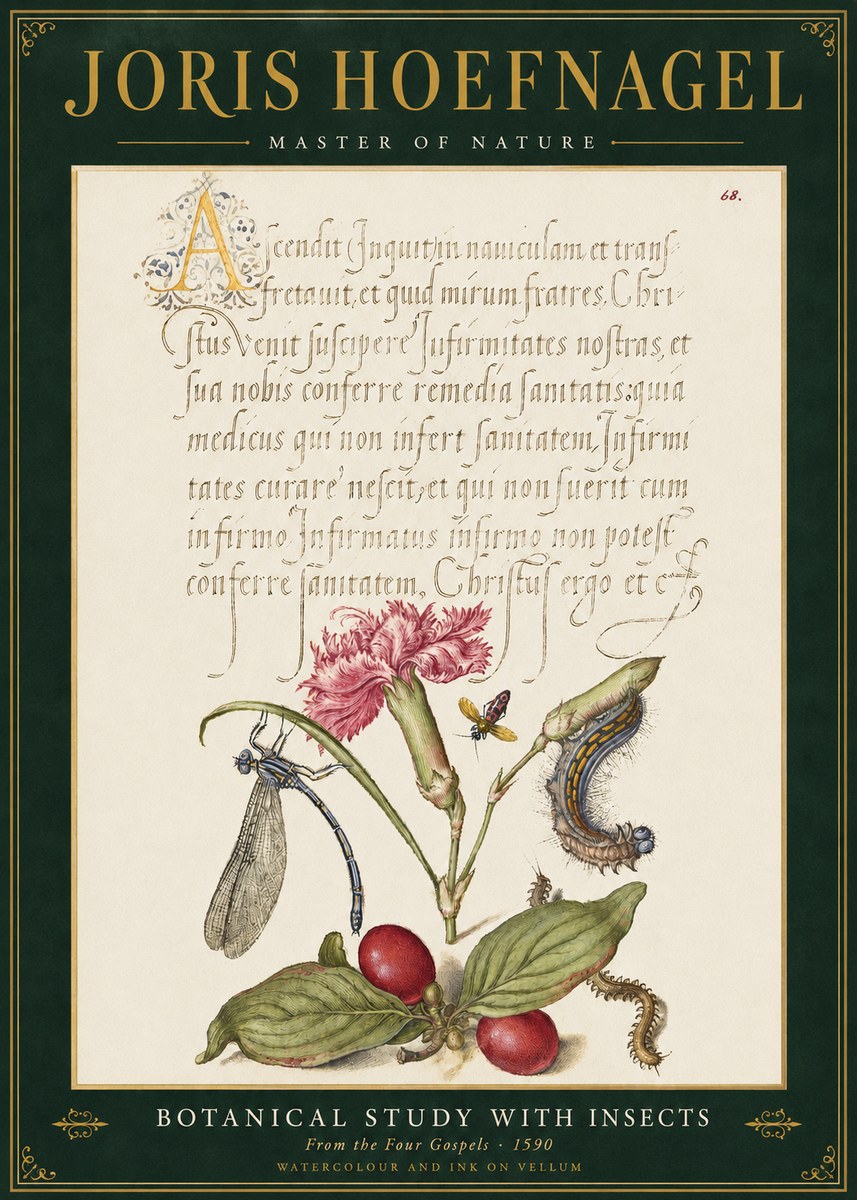 Joris Hoefnagel Botanical Study with Insects No3 - Affiche