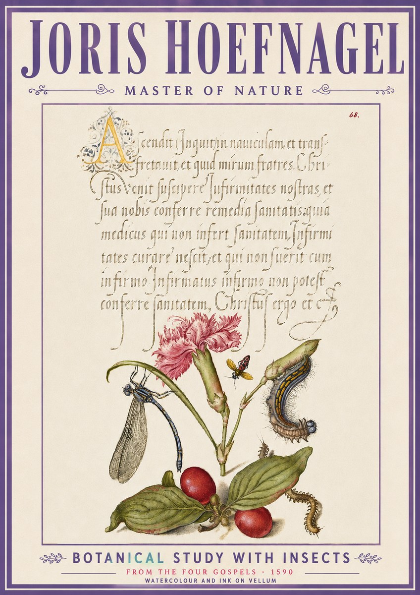 Joris Hoefnagel Botanical Study with Insects No6 - Affiche