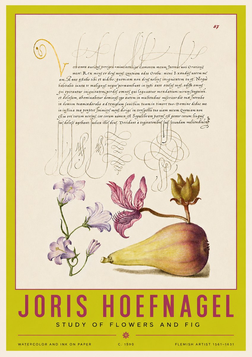 Joris Hoefnagel Study of Plants II No4 - Affiche