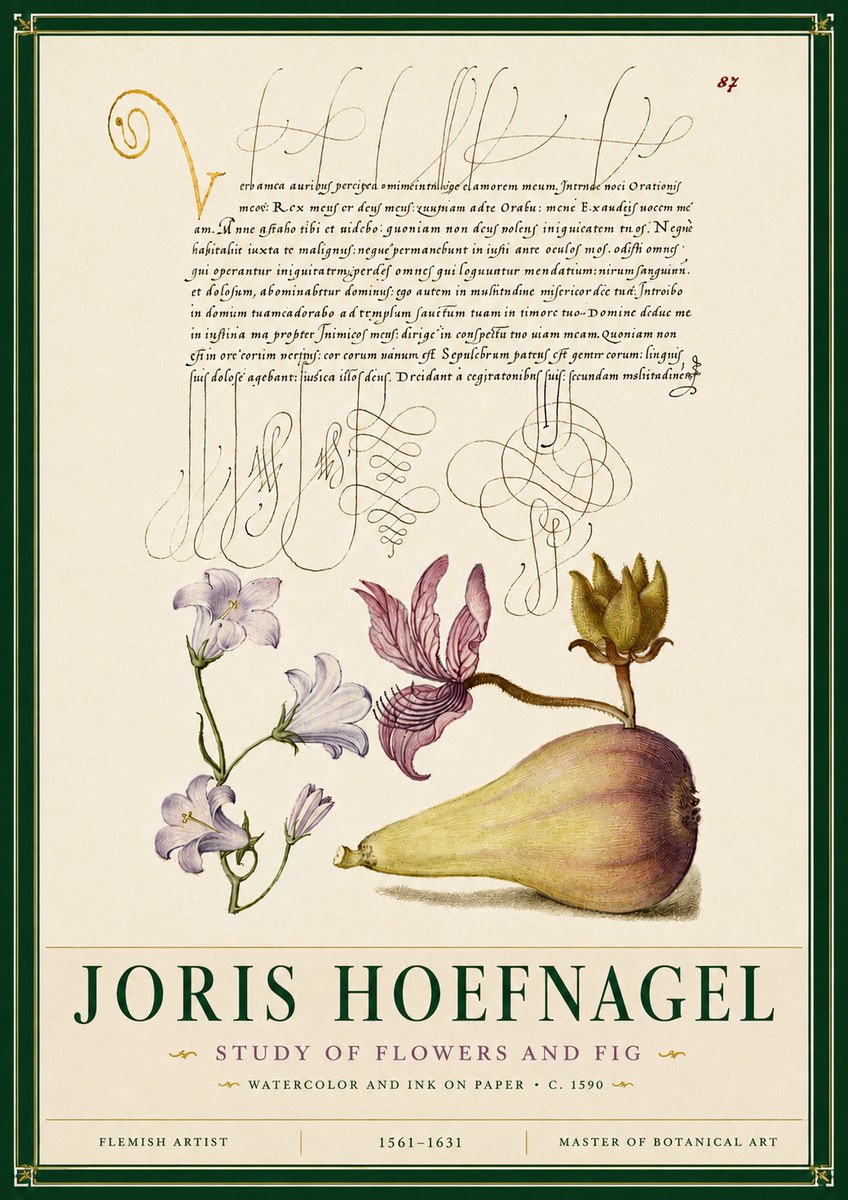 Joris Hoefnagel Study of Plants II No6 - Affiche