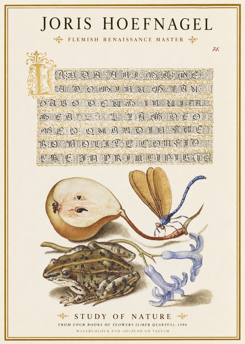 Joris Hoefnagel Study of Nature II No1 - Affiche