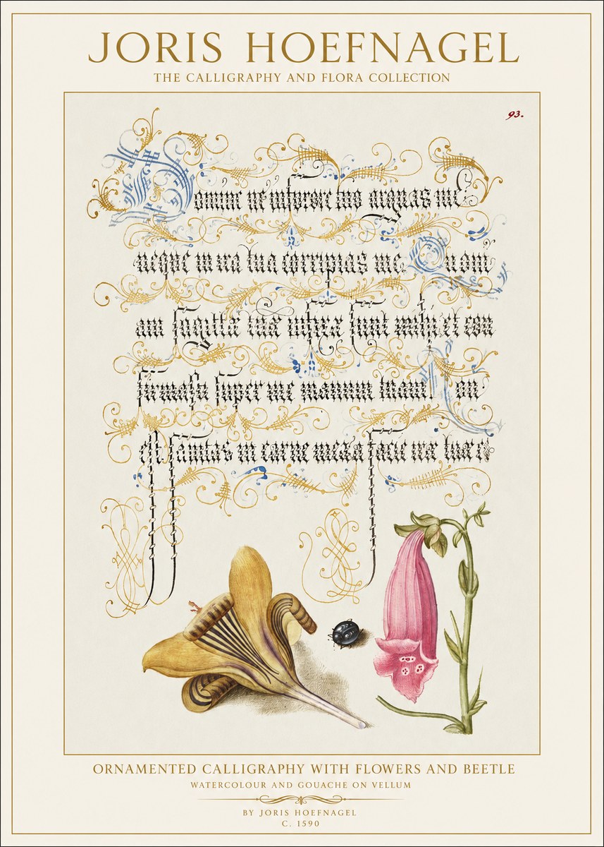 Joris Hoefnagel Ornamented Calligraphy with Flowers and Beetle No1 - Affiche