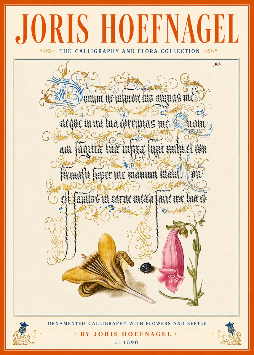 Joris Hoefnagel Ornamented Calligraphy with Flowers and Beetle No5 - Affiche