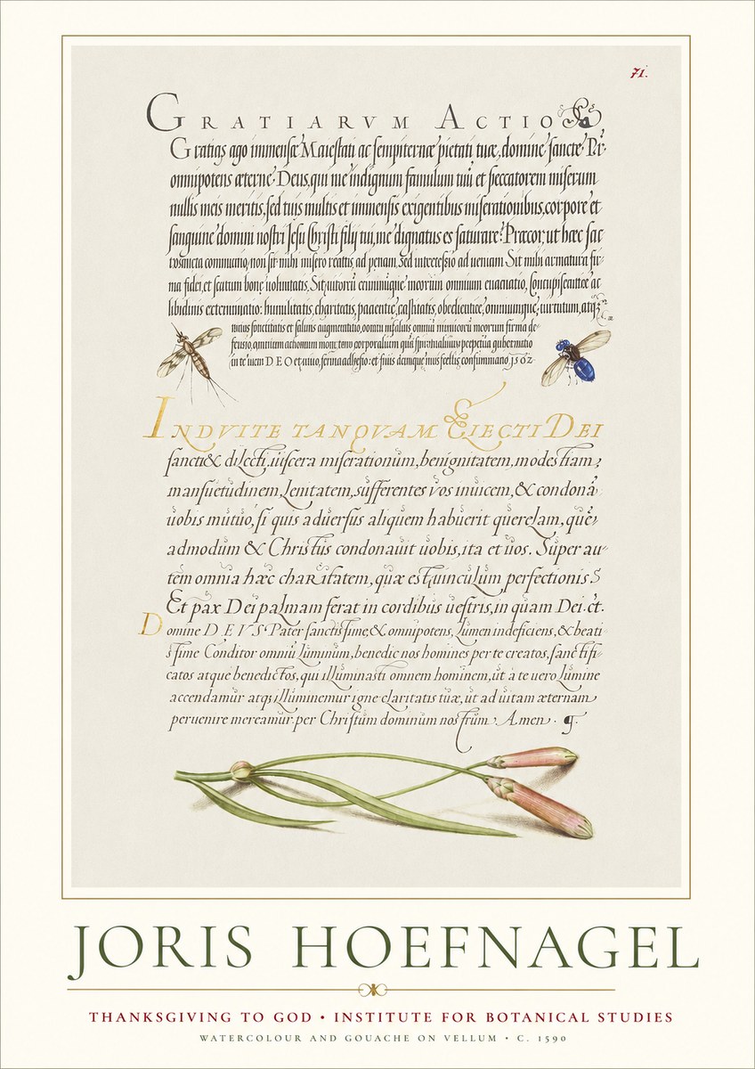 Joris Hoefnagel Thanksgiving to God • Institute for Botanical Studies No1 - Affiche