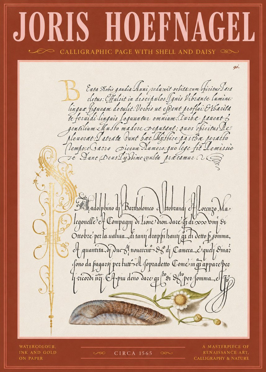 Joris Hoefnagel Calligraphic Page with Shell and Daisy No2 - Affiche