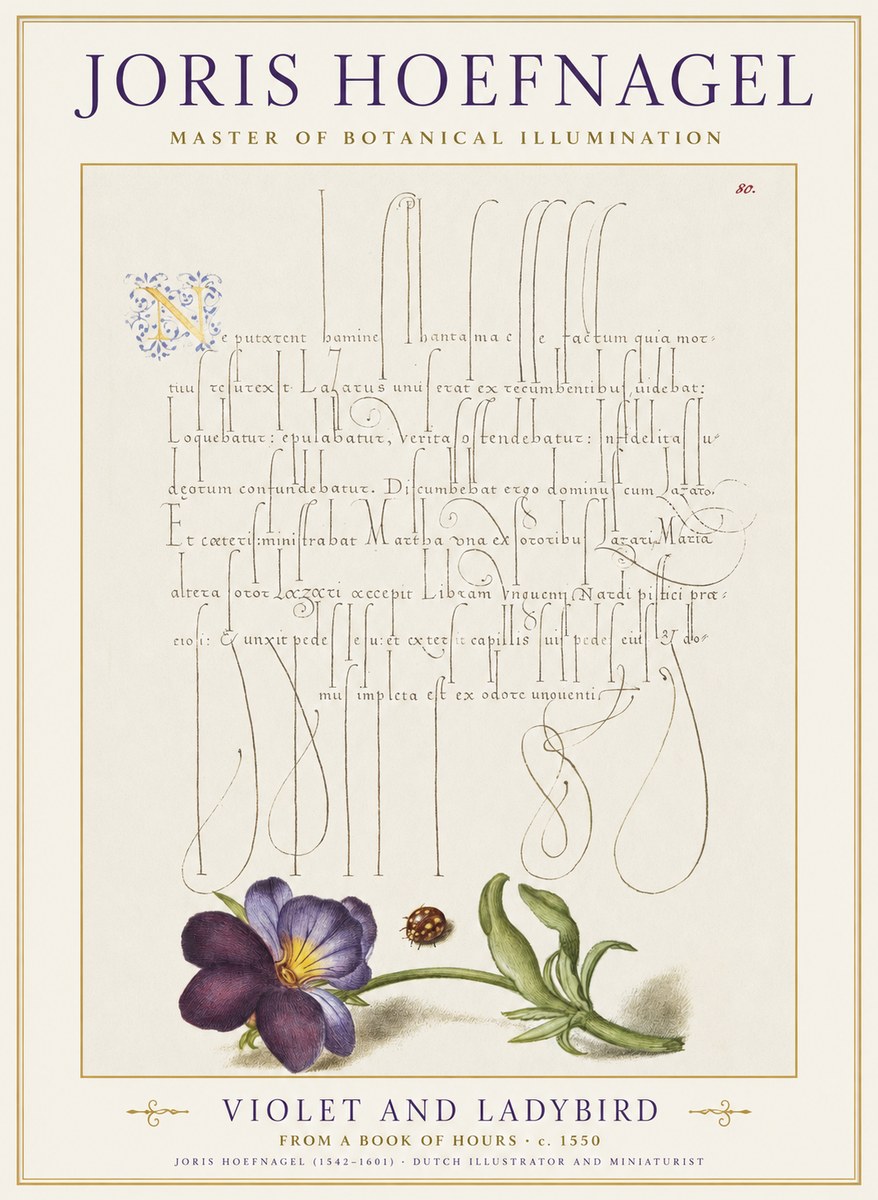 Joris Hoefnagel Violet and Ladybird No1 - Affiche