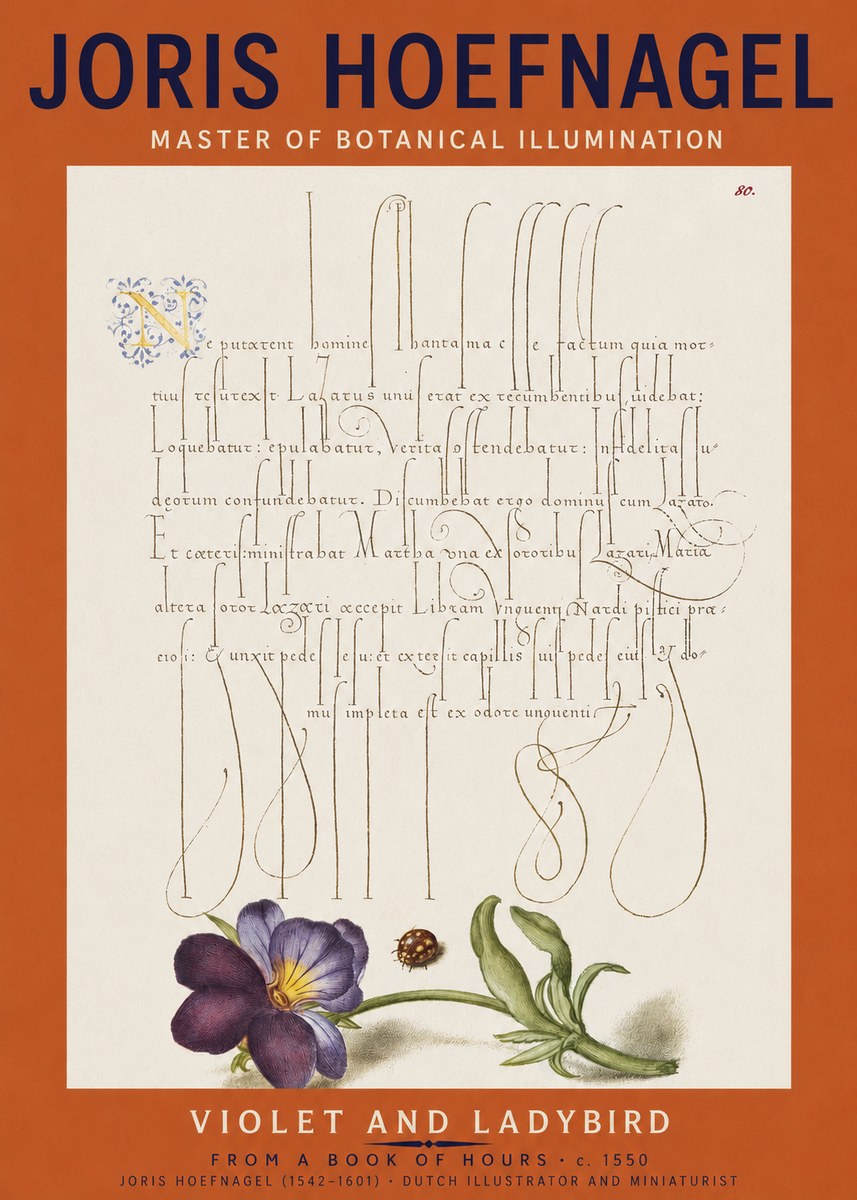 Joris Hoefnagel Violet and Ladybird No2 - Affiche