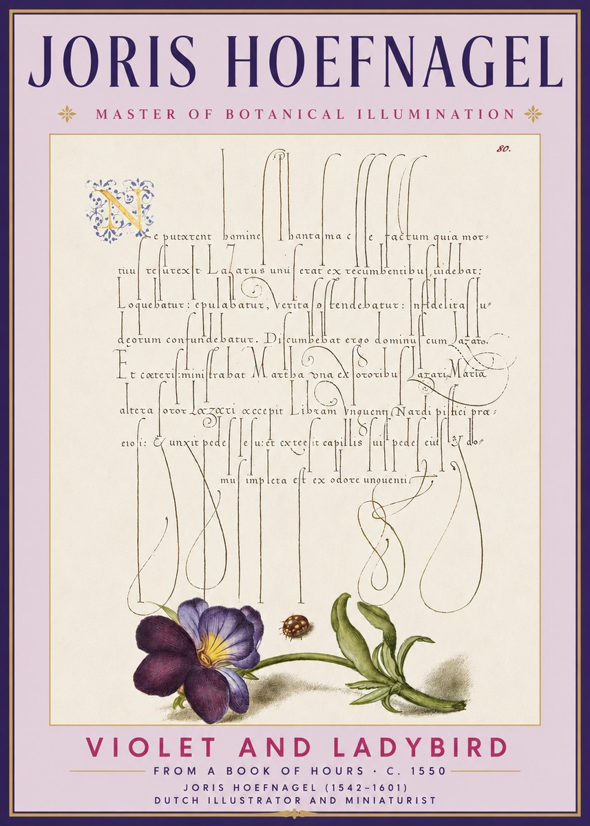 Joris Hoefnagel Violet and Ladybird No3 - Affiche