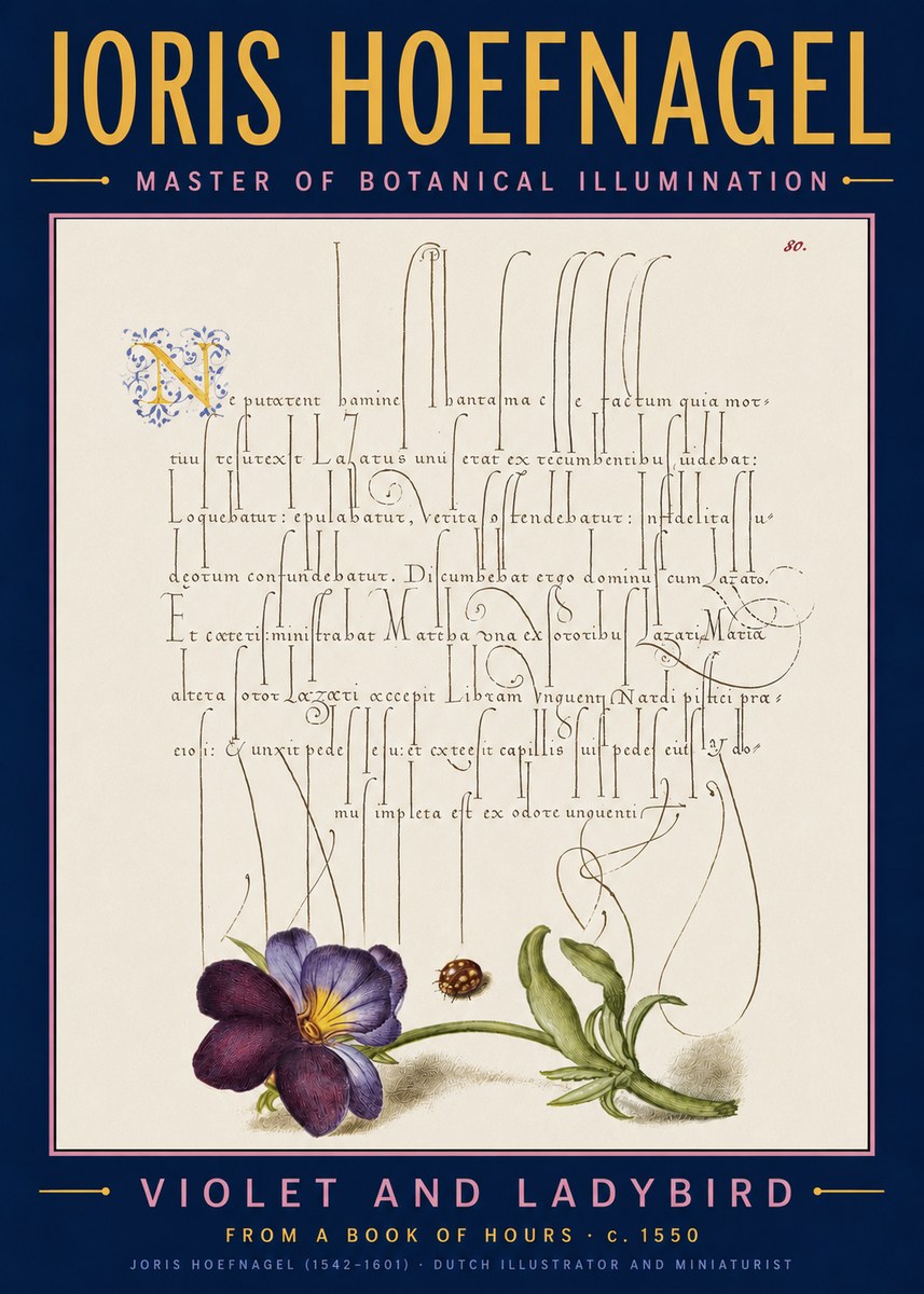 Joris Hoefnagel Violet and Ladybird No5 - Affiche