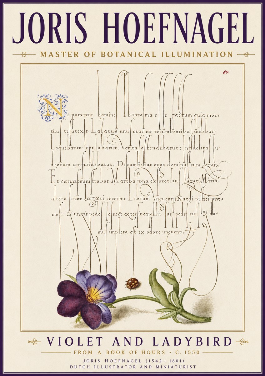Joris Hoefnagel Violet and Ladybird No6 - Affiche