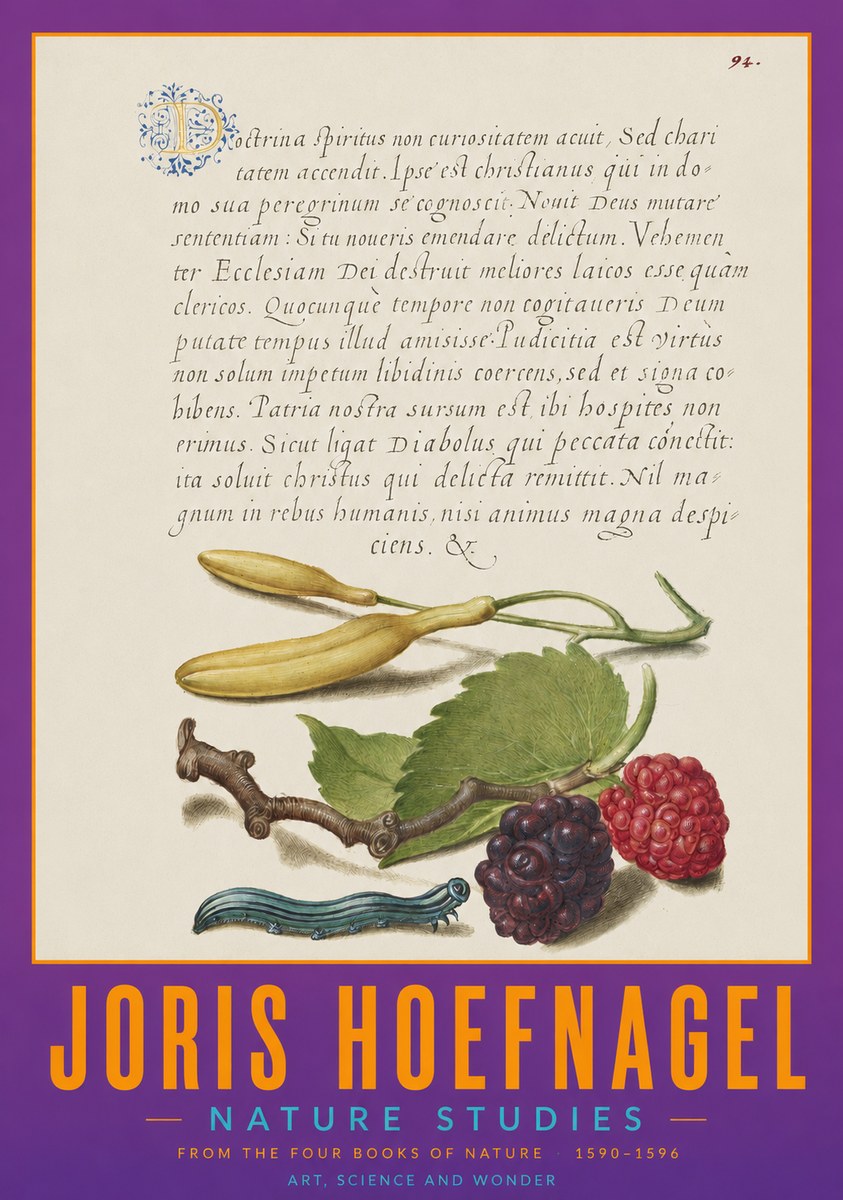 Joris Hoefnagel Nature Studies No2 - Affiche