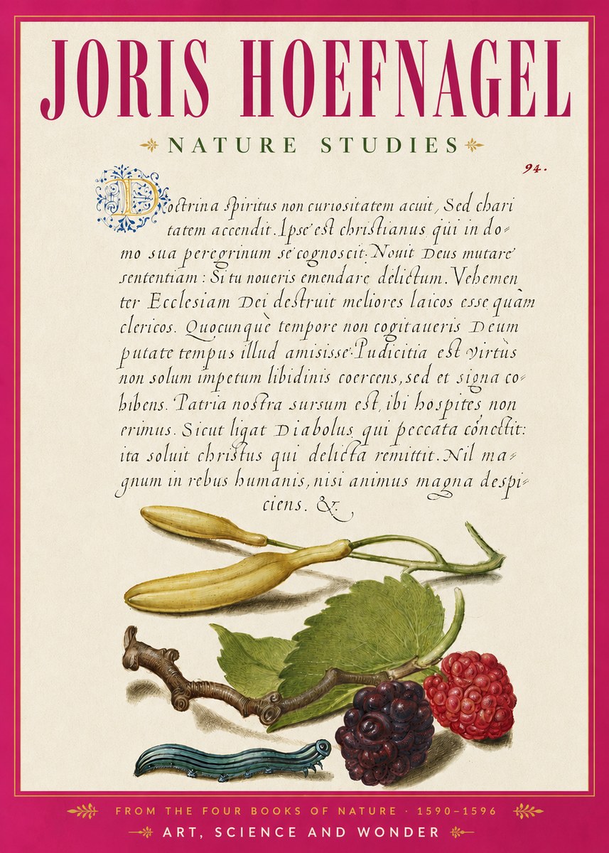 Joris Hoefnagel Nature Studies No6 - Affiche
