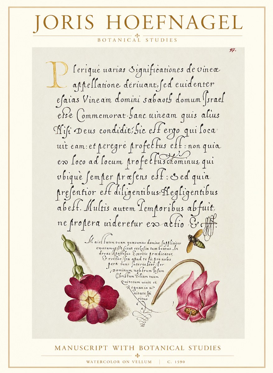 Joris Hoefnagel Manuscript with Botanical Studies No1 - Affiche