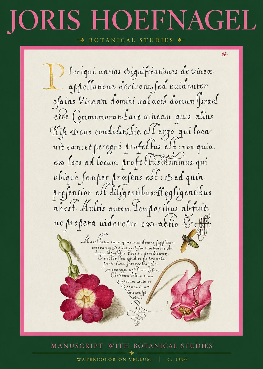 Joris Hoefnagel Manuscript with Botanical Studies No2 - Affiche