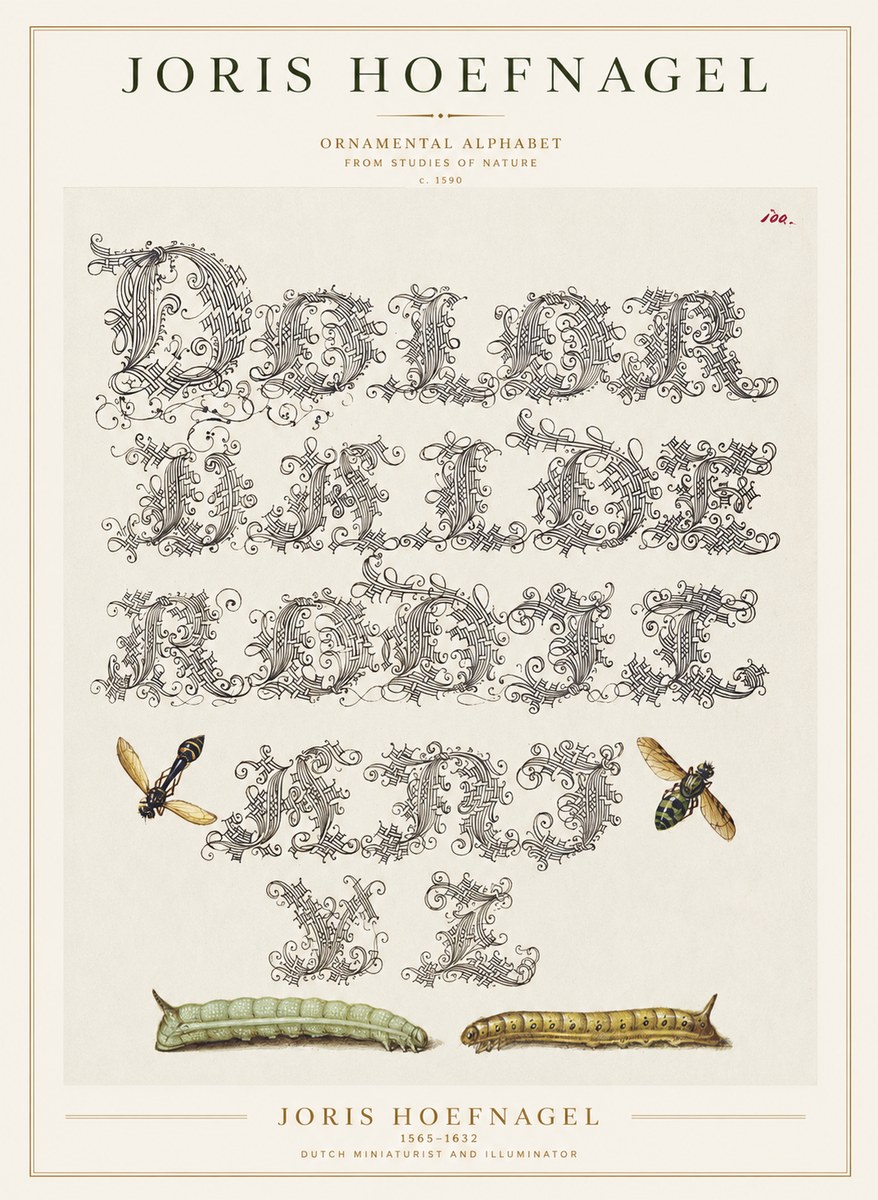 Joris Hoefnagel Ornamental Alphabet from Studies of Nature No1 - Affiche