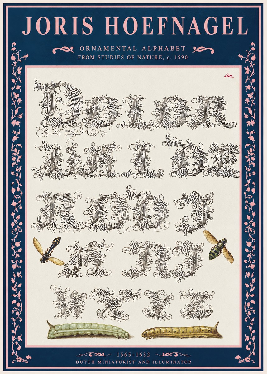 Joris Hoefnagel Ornamental Alphabet from Studies of Nature No2 - Affiche