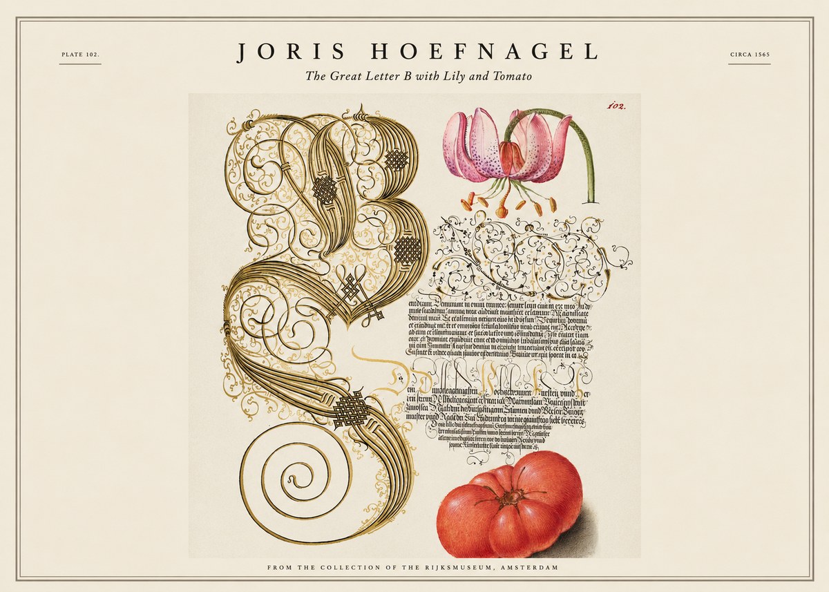 Joris Hoefnagel The Great Letter B with Lily and Tomato No1 - Affiche