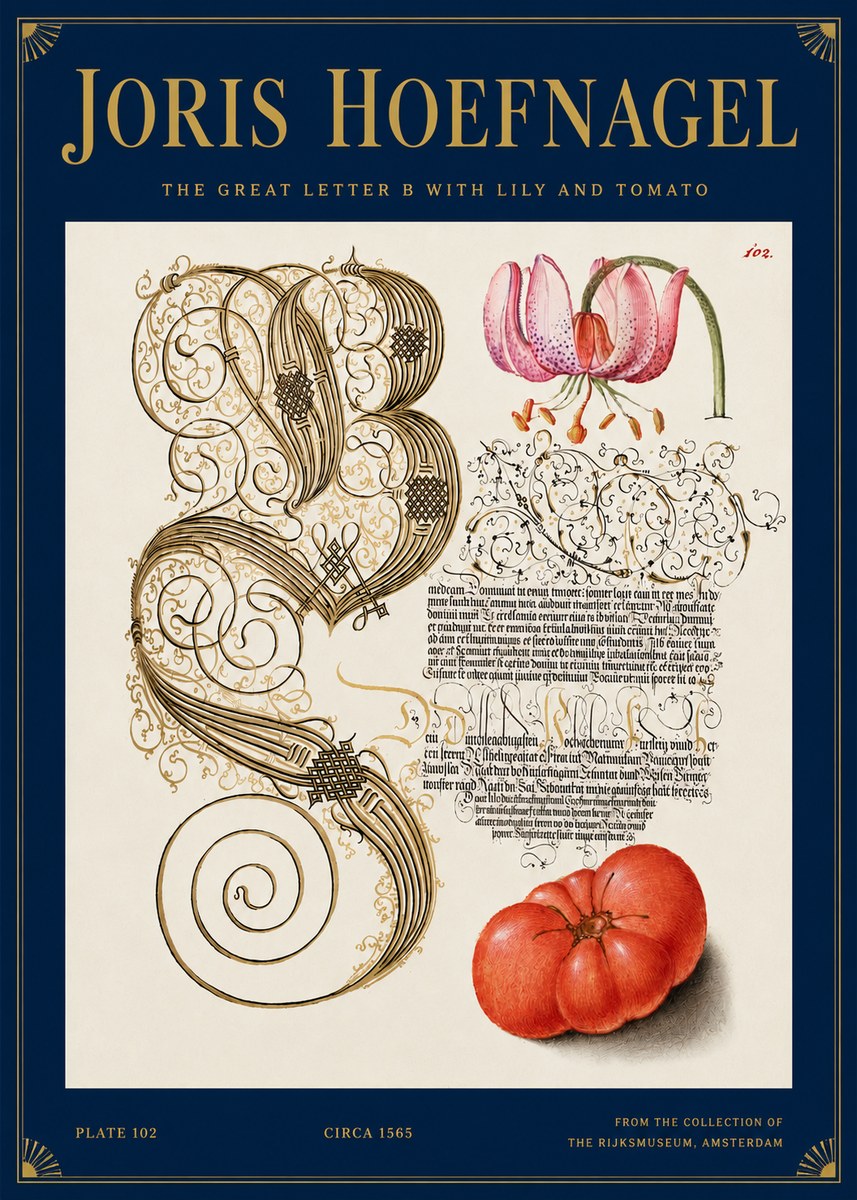 Joris Hoefnagel The Great Letter B with Lily and Tomato No3 - Affiche