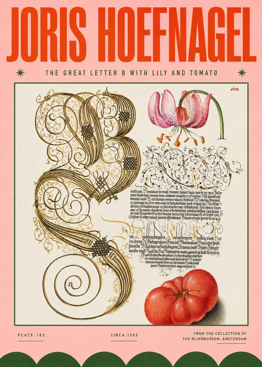 Joris Hoefnagel The Great Letter B with Lily and Tomato No4 - Affiche