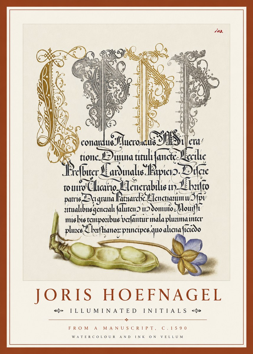 Joris Hoefnagel Illuminated Initials with Peapod and Flower No4 - Affiche