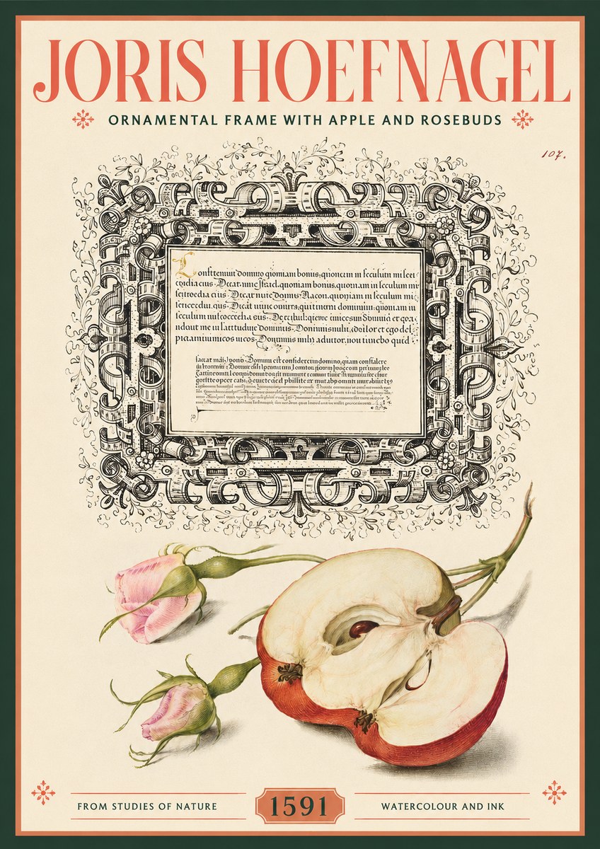 Joris Hoefnagel Illuminated Calligraphy and Botanical Study No3 - Affiche