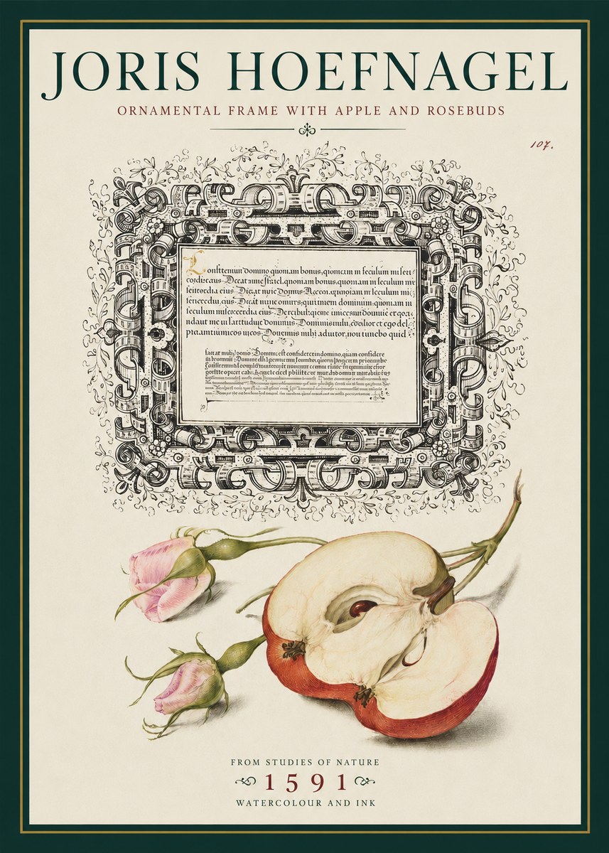 Joris Hoefnagel Illuminated Calligraphy and Botanical Study No5 - Affiche