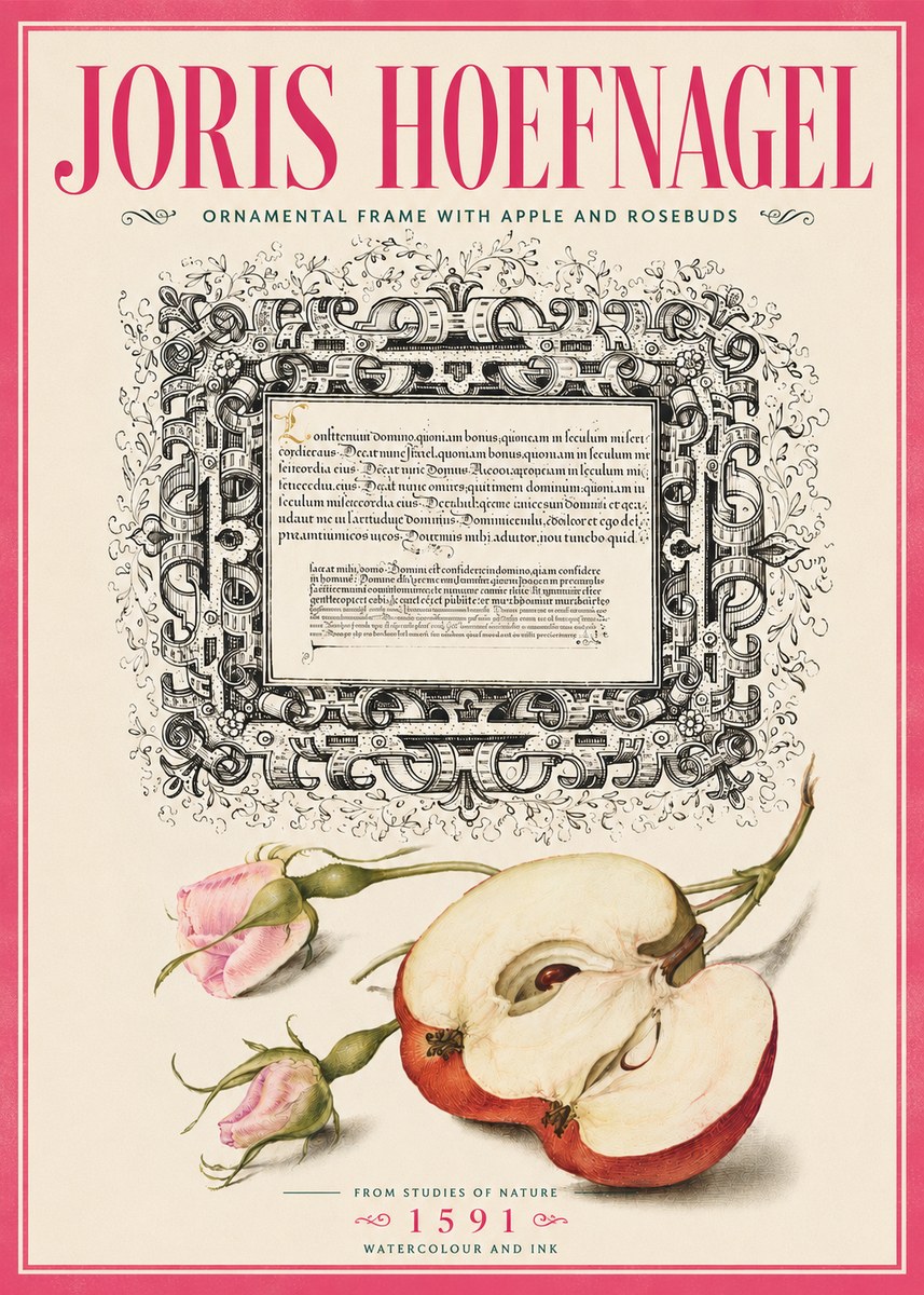 Joris Hoefnagel Illuminated Calligraphy and Botanical Study No6 - Affiche