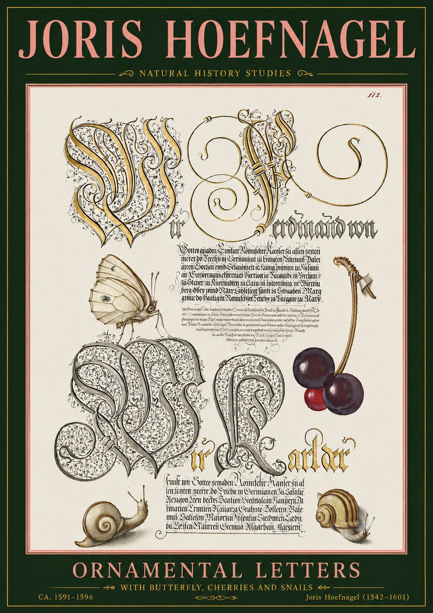 Joris Hoefnagel Ornamental Letters with Butterfly, Cherries and Snails No5 - Affiche
