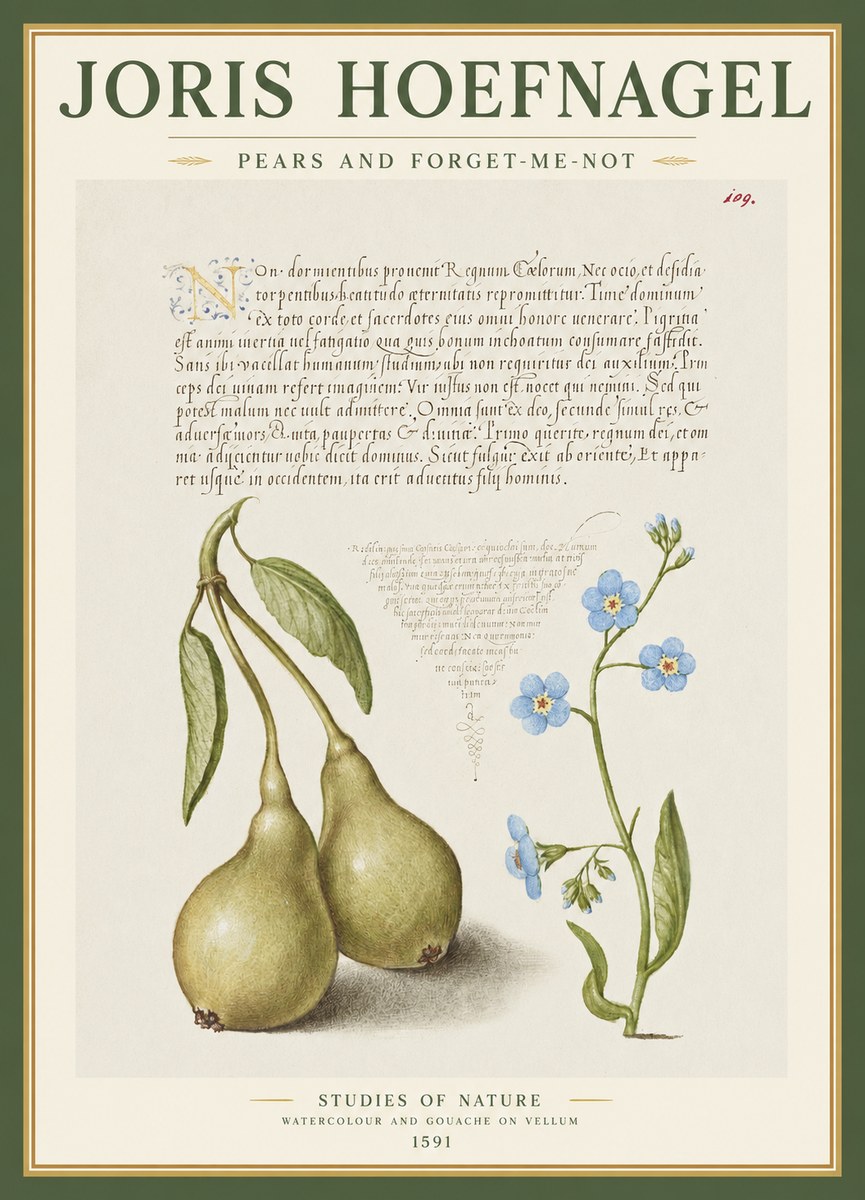 Joris Hoefnagel Pears and Forget-me-not No1 - Affiche