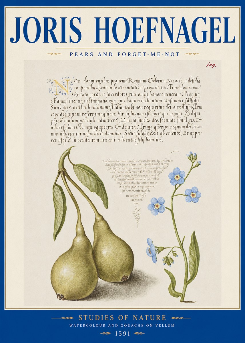 Joris Hoefnagel Pears and Forget-me-not No2 - Affiche