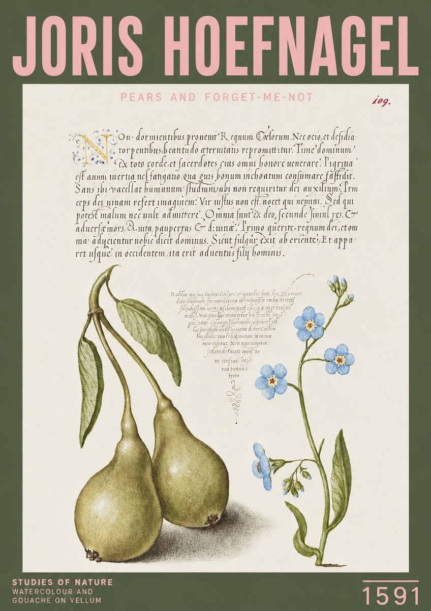 Joris Hoefnagel Pears and Forget-me-not No3 - Affiche