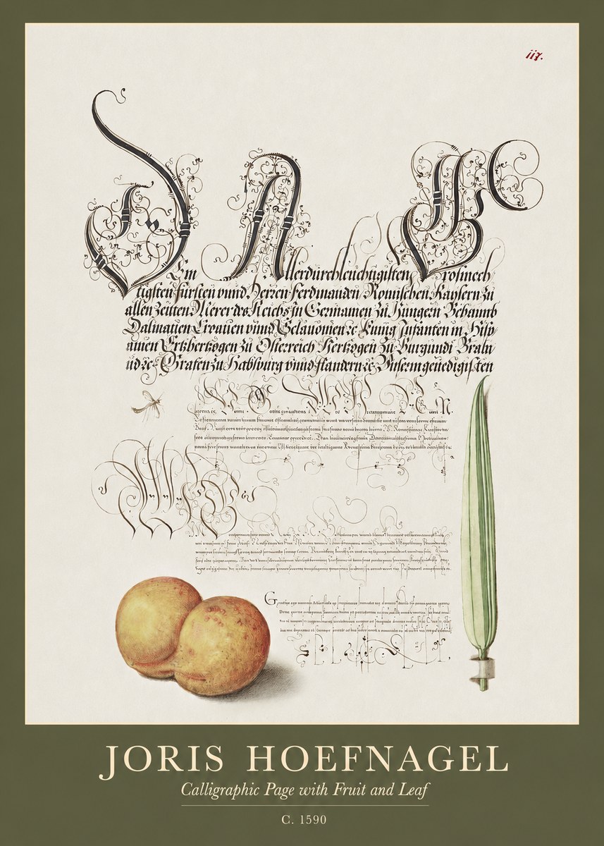 Joris Hoefnagel Calligraphic Page with Fruit and Leaf No1 - Affiche