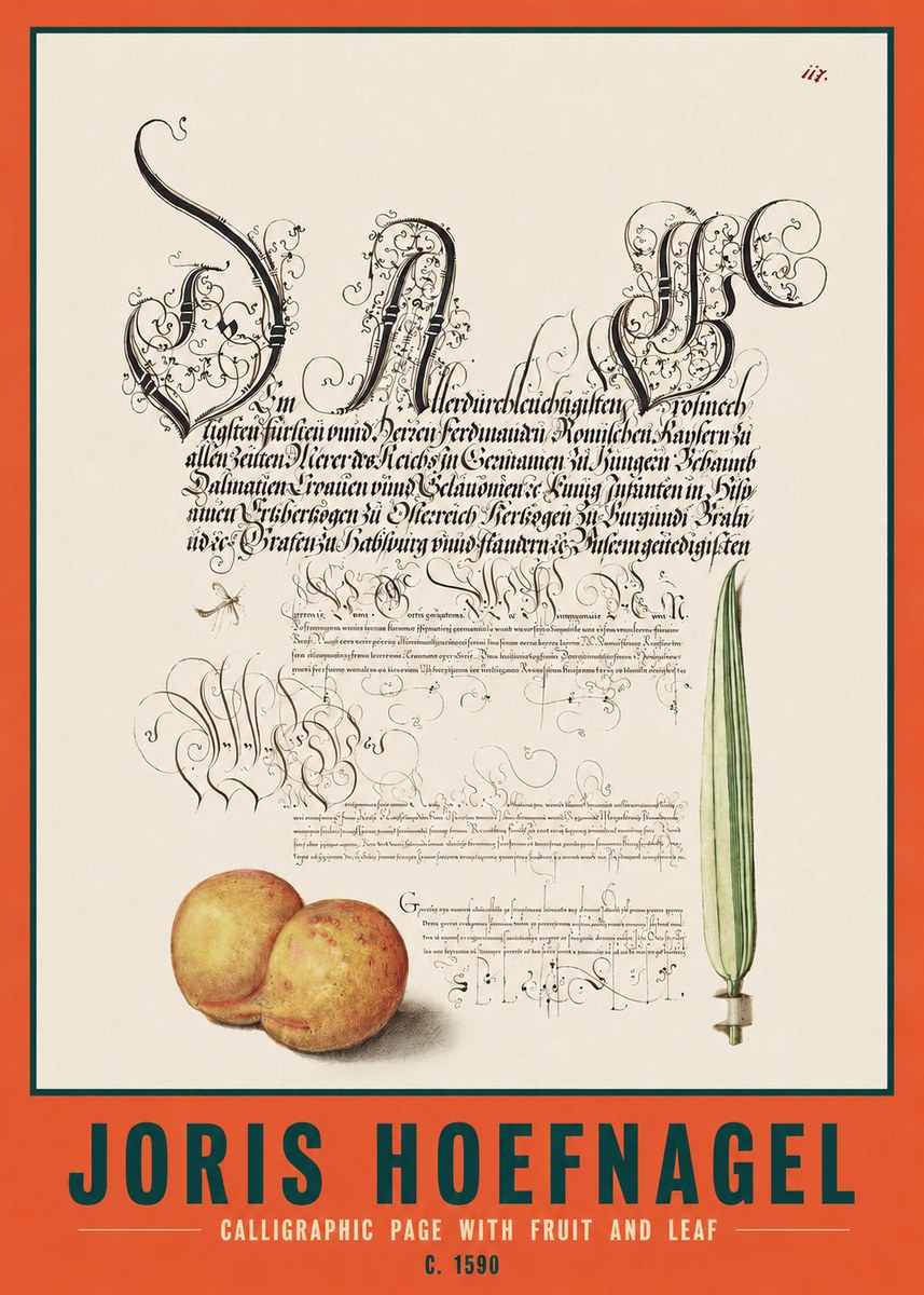 Joris Hoefnagel Calligraphic Page with Fruit and Leaf No2 - Affiche