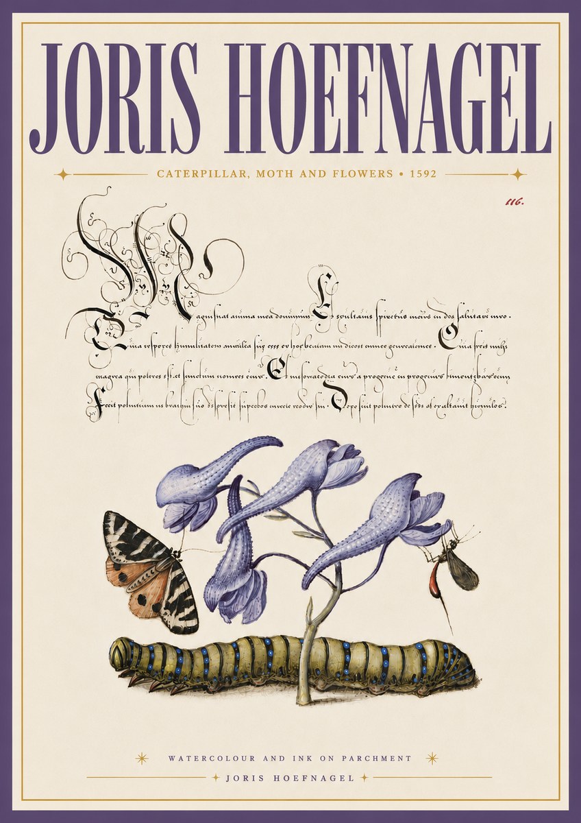 Joris Hoefnagel Caterpillar, Moth and Flowers No6 - Affiche
