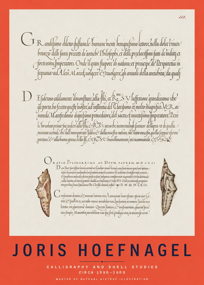 Joris Hoefnagel Study of Shells and Calligraphy No3 - Affiche