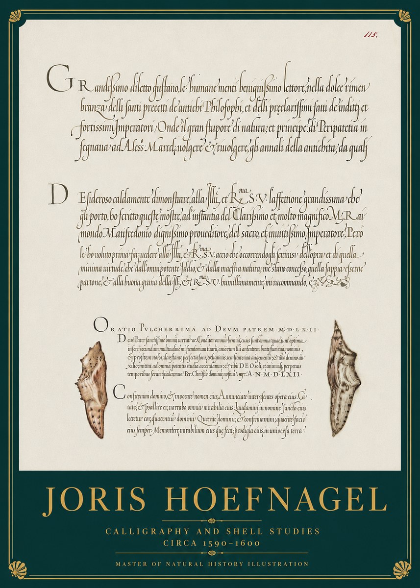 Joris Hoefnagel Study of Shells and Calligraphy No4 - Affiche