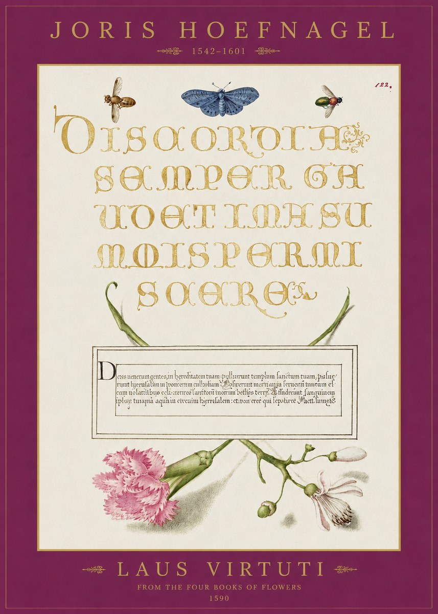 Joris Hoefnagel Laus Virtuti No2 - Affiche