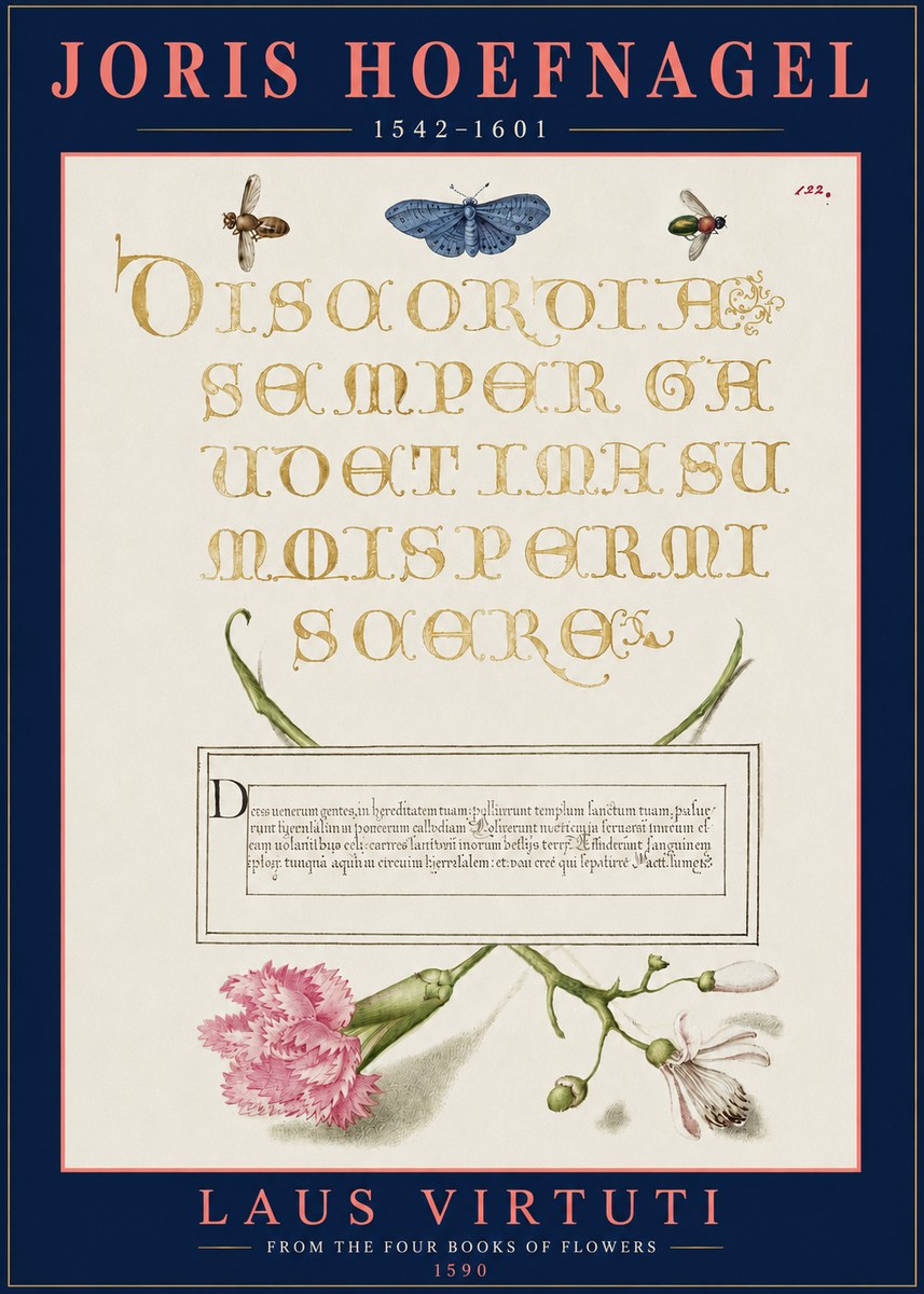 Joris Hoefnagel Laus Virtuti No3 - Affiche