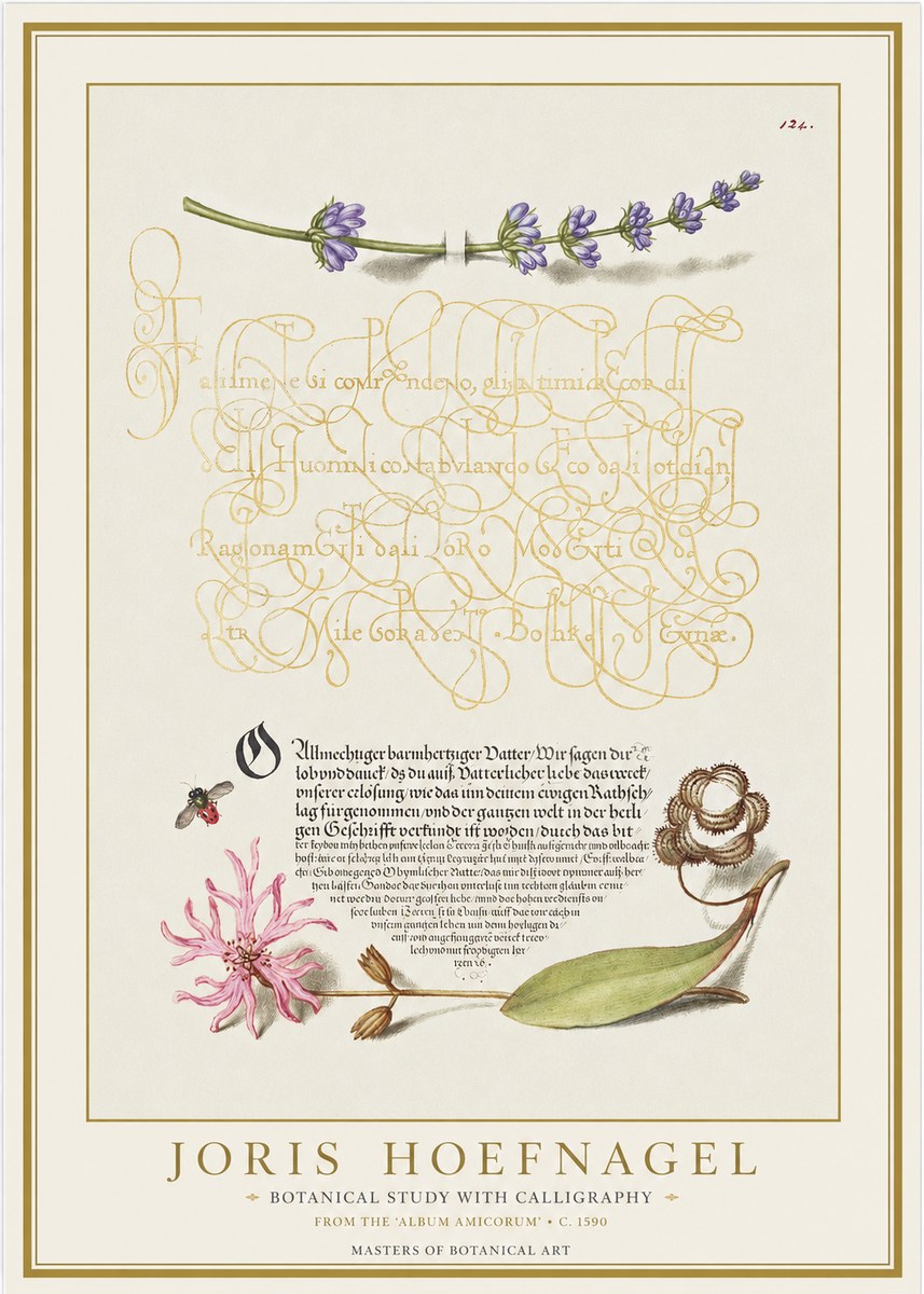 Joris Hoefnagel Botanical Study with Calligraphy IV No1 - Affiche