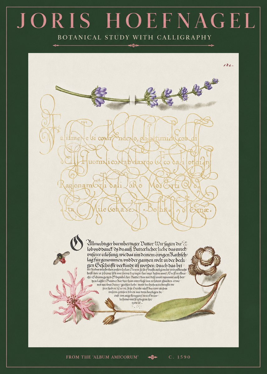 Joris Hoefnagel Botanical Study with Calligraphy IV No2 - Affiche