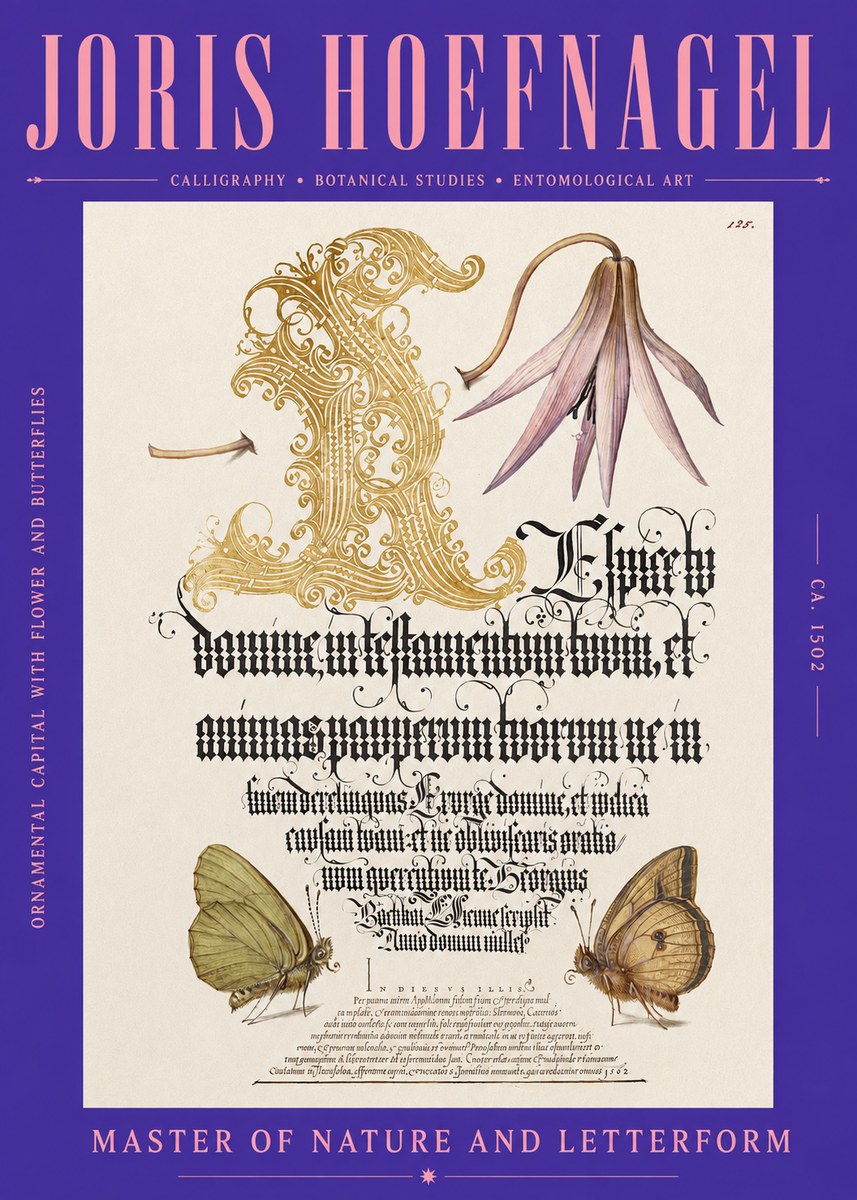 Joris Hoefnagel Ornamental Capital with Flower and Butterflies No2 - Affiche