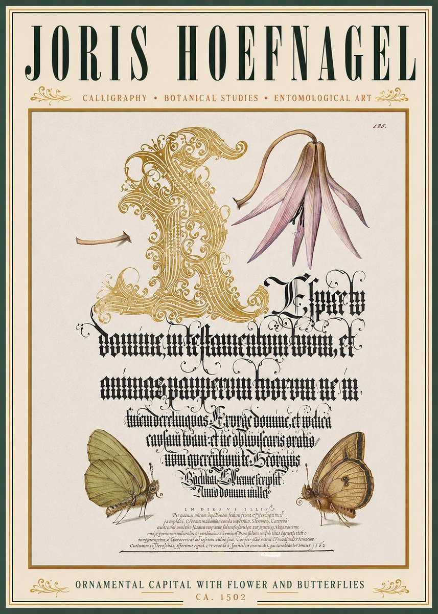 Joris Hoefnagel Ornamental Capital with Flower and Butterflies No3 - Affiche